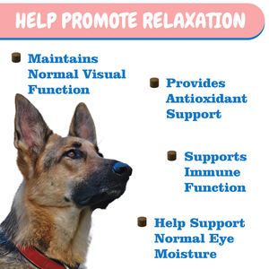 OEM/ODMナチュラルプレミアム涙汚れ防止ソフトチュー犬用涙汚れ除去薬涙汚れ除去治療 - Product Image 3