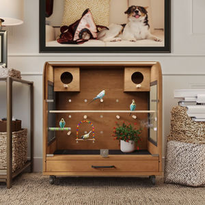 Geniş İç Mekanlı ve Oyun Aksesuarlı Şık Ahşap Kuş Yuvası - Product Image 5