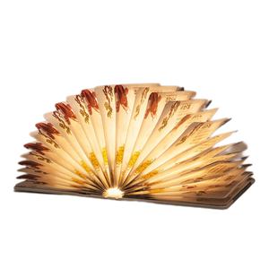 Kanlong realista portátil recargable <span class=keywords><strong>de</strong></span> la PU decoración Lámpara <span class=keywords><strong>de</strong></span> lectura del niño habitación noche <span class=keywords><strong>magia</strong></span> multi-funcional <span class=keywords><strong>de</strong></span> libro Led Luz - Product Image 1