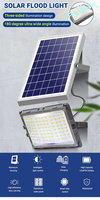 2024 nouveau projecteur projecteur 100w 200w 300w IP65 projet lumière d'inondation solaire LED lumière de jardin solaire LED projecteur de jardin