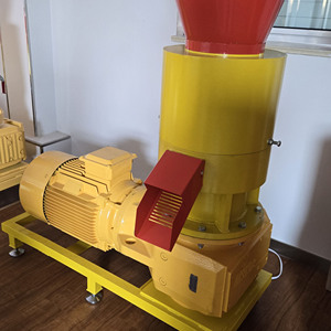 Petit plat Die Biocarburant Sciure <span class=keywords><strong>de</strong></span> <span class=keywords><strong>bois</strong></span> Granulés Faisant la machine <span class=keywords><strong>Moins</strong></span> <span class=keywords><strong>cher</strong></span> Husk Pellet Core Composant <span class=keywords><strong>de</strong></span> moteur pour le traitement <span class=keywords><strong>de</strong></span> l'herbe crue - Product Image 3