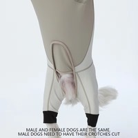 Manteau pour chiens de haute qualité, luxueux, rembourré, écologique, réfléchissant, imperméable, coupe-vent, en polyester, pour toutes les saisons