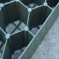 Grilles de gazon en plastique HDPE vierge de haute qualité pour les allées de stationnement