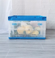 Caisse de rangement rectangulaire pliable en plastique recyclable, design moderne personnalisé, grande capacité, légère et robuste