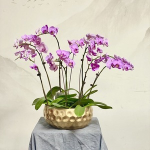 <b>Orchid</b> Flower Arrangement Golden Iron <b>Pot</b> Handmade Festive Celebration Chinese New Year Decor - Product Image 3
