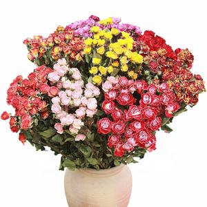 Bouquet di <span class=keywords><strong>Rose</strong></span> <span class=keywords><strong>Essiccate</strong></span> Naturali all'Ingrosso per Decorazione Domestica - Product Image 1