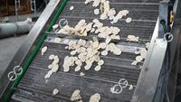 Kleinschalige Commerciële Weegbree Snackmachine Full-Proces Frituren Kruiden De Olie-En Verpakkingslijn