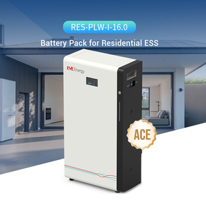Système de stockage d'énergie domestique EVE, système de stockage d'énergie solaire, batterie lithium 51,2V 10kWh 15kWh 314Ah, montage mural - Product Image 3