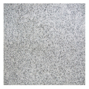 Günstige Chinesische Granit-Bodenfliesen 60x60 Hellgrauer Granit G603 - Product Image 6