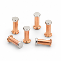 Fournisseur de rivets de contact bimétalliques électriques, relais à rivets, rivets de contact en argent
