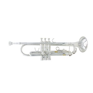 Trompeta Profesional en Si Bemol para Principiantes, Detalles para <span class=keywords><strong>Instrumentos</strong></span> <span class=keywords><strong>Musicales</strong></span> <span class=keywords><strong>de</strong></span> <span class=keywords><strong>Banda</strong></span>, <span class=keywords><strong>Instrumentos</strong></span> <span class=keywords><strong>de</strong></span> Viento <span class=keywords><strong>de</strong></span> Latón - Product Image 5