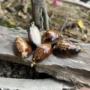 จี้ห้อยเปลือกหอยลายหัวงูสีเทาธรรมชาติขัดเงาจากฮาวาย สำหรับทำเครื่องประดับ DIY - Product Image 3