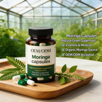 Kapsul Moringa Vegan 500mg Suplemen Multivitamin Nutrisi Grosir Ekstrak Daun Moringa OEM Pemasok Label Pribadi