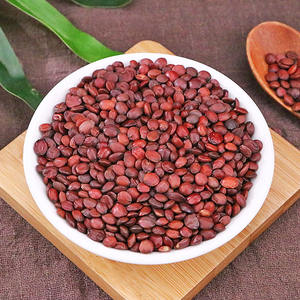 Suan Zao Ren biji tanggal tulang belakang kering biji Jujube biji rempah-rempah <span class=keywords><strong>Semen</strong></span> zizipi spinossae mentah/butiran panggang diproses rasa kapulaga - Product Image 2