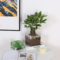 Mini vase carré transparent en plastique, centre de table, conteneur en acrylique, pot en vrac pour plantes succulentes, décoration florale pour mariage, maison, bureau