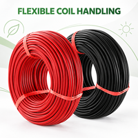 Câble PV 4mm² 6mm² en cuivre étamé XLPE monobrin 1500V CC pour projets d'installation solaire sur toiture