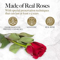 Boîte cadeau en forme de cœur avec 16 roses éternelles, rose éternelle, cadeau de la Saint-Valentin pour petite amie, épouse, arrangement floral romantique