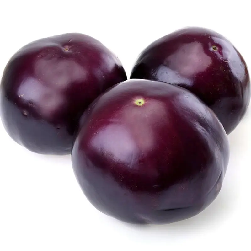 Wholesale Purple Skin Round Eggplant Seeds