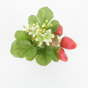 Decorativo <span class=keywords><strong>de</strong></span> frutas <span class=keywords><strong>de</strong></span> fresa <span class=keywords><strong>bonsai</strong></span> se utiliza para la boda, pared <span class=keywords><strong>de</strong></span> flores hogar Decoración <span class=keywords><strong>de</strong></span> la Oficina - Product Image 5