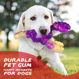 2025 yeni toptan dayanıklı diş temizleme gıda sınıfı naylon köpek kemik oyuncak yıkılmaz Anti-bite köpek Bite oyuncak - Product Image 3