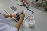 Peinture pour granit, revêtement multicolore à pois, peinture murale à base d'eau et de sable pour murs décoratifs