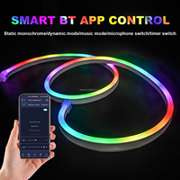 Bande LED néon flexible intelligente en PVC souple, étanche, avec télécommande USB APP BT, pour extérieur, chambre à coucher, lumière néon LED magique de couleur