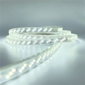 24V 3528 480led Mỗi Mét Qual SMD2835 240Chip/M Đôi/Một Hàng Màu Trắng 6500K Smd5050 60Leds/M Ba Chip Đèn Led Dây 220V