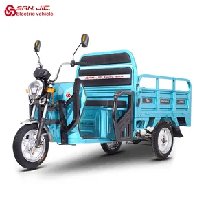 SANJIE 600W/800W/1000W tricycles électriques 3 roues vélo cargo électrique camion tricycle cargo vélo cargo