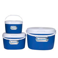Ensemble de glacières en plastique personnalisées pour l'extérieur, 6L, 14L, 28L, glacières de voyage, pêche, qualité alimentaire, matériau PP, glacières à glace