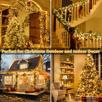 Guirlandes lumineuses LED YN Starlight pour Noël, étanches IP65, longueurs 10M/20M/30M/50M/100M, blanc chaud 3500K, pour décoration extérieure de festivals