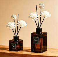 Bouteille diffuseur d'aromathérapie en verre rond en gros avec plusieurs couvercles, impression personnalisée, pour parfum d'intérieur et désodorisant, emballage de bouteille