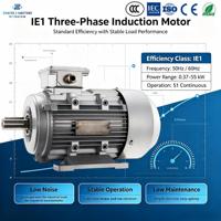 Moteur asynchrone triphasé à induction IE1 à faible vibration 2HP 1,5kW 380V 50/60Hz Corps en fonte Industriel
