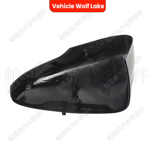 Cubierta de espejo retrovisor para vehículo Wolf Lake, para Ford Focus 2019-2021, lado derecho e izquierdo, material ABS - Product Image 1