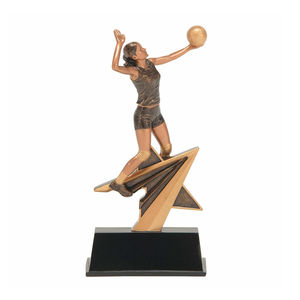 جائزة كرة الطائرة من الراتنج من ويڤيستا مع خدمة النقش بالليزر المخصصة عبر الإنترنت من الشركة المصنعة - Product Image 2