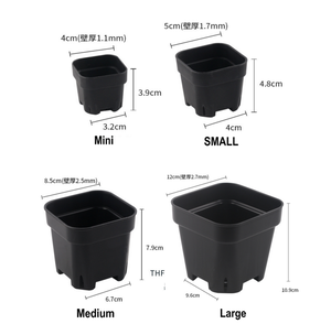 <span class=keywords><strong>Macetas</strong></span> <span class=keywords><strong>Cuadradas</strong></span> Negras de Plástico Grueso, Duraderas y Ecológicas, de 4cm, 5cm, 8.5cm y 12cm, para Jardín, Vivero y Suculentas, Venta al Por Mayor - Product Image 4