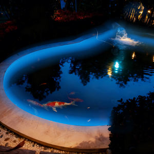 Tira de Luces LED de Neón Flexible para Piscina, Certificación CE, FCC, CQC, RGB, IP68, Impermeable, Luz de Neón Digital para Piscina - Product Image 3