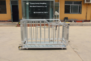 Machine portable de pesage et de regroupement des veaux - Product Image 4