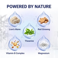 Patchs transdermiques OEM ODM pour l'énergie avec vitamines B et extrait de Crinière de lion, à libération prolongée 8H pour hommes et femmes