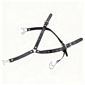 Nose <b>hook</b>, mouth opener, gag, SM sex toys, male and female slave training props, couple <b>games</b>, torture devices - Product Image 4
