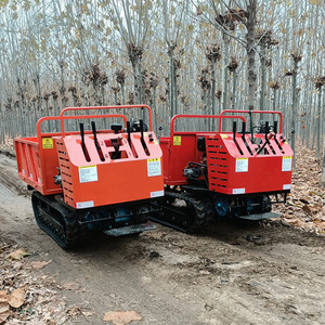Vente chaude Mini Minero L1800 Électrique Diesel Dumper Sur Chenilles 500Kg Capacité Manuel Rapide Construction Maison Jardin Utilisation - Product Image 3
