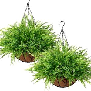 Canasta Colgante de Helecho Artificial Boston de 30cm-190cm, Decoración de Exterior de Ratán Plástico - Product Image 4