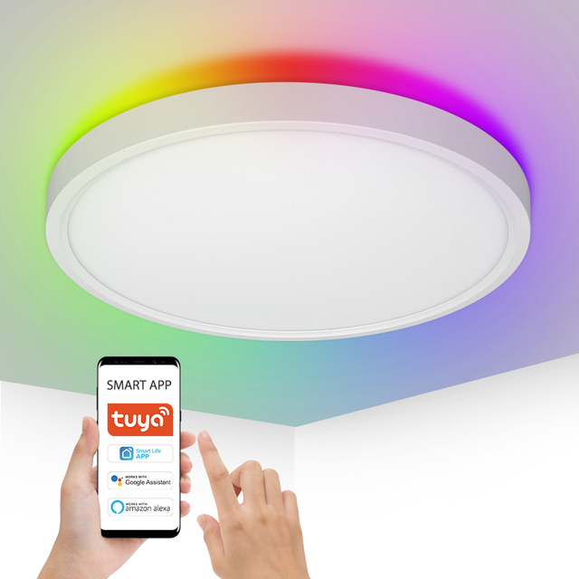 RGB Tuya Smart Ceiling Light 12 Inch Slim Plastic Colorful Back Light Ceiling Smooth White Light Dimmable Led Round Panel