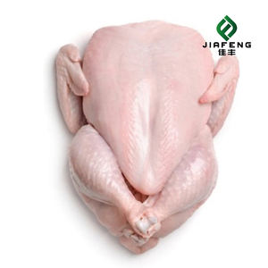 <span class=keywords><strong>Pollo</strong></span> <span class=keywords><strong>Entero</strong></span> Halal Congelado, <span class=keywords><strong>Precio</strong></span> Bajo, <span class=keywords><strong>Precio</strong></span> Competitivo, Alta Calidad, Sacrificado a Mano - Product Image 6