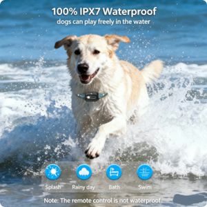 Dual <strong>Dog</strong> <strong>Training</strong> <strong>Collar</strong> 1000M Range One-Click No Shock Lock TFT Screen <strong>Collar</strong> with Rechargeable Boost Shock Auto Sleep 5 Modes - Product Image 2