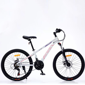 Portátil polea gordo tyer dual <span class=keywords><strong>de</strong></span> freno <span class=keywords><strong>de</strong></span> disco <span class=keywords><strong>de</strong></span> <span class=keywords><strong>segunda</strong></span> <span class=keywords><strong>mano</strong></span> 21 <span class=keywords><strong>DE</strong></span> Ciclo 1 pieza cambio niños bicicleta <span class=keywords><strong>de</strong></span> montaña <span class=keywords><strong>de</strong></span> ciclo - Product Image 5