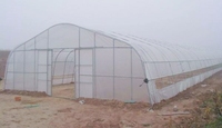 Serre agricole pour tomates et fraises, serre spécialisée en film plastique PE à travée unique