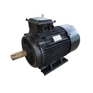 Generador Hidroeléctrico de Imán Magnético de Baja Velocidad 100KW 150RPM 50Hz 400V 144A ENP100K-150R - Product Image 5