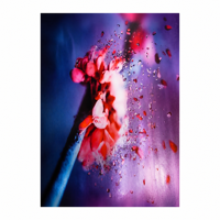 Impression Giclée sur Toile Argentée 40x60cm, Affiche Murale Moderne Abstraite Florale Rose Éclatante pour Décoration Maison et Bureau