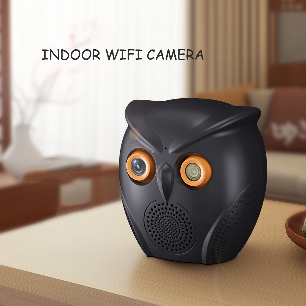 indoor camera wireless