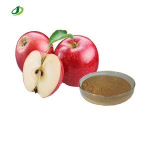 Factory Supply Natural <strong>Green</strong> <strong>apple</strong> <strong>Extract</strong> Powder Polyphenols 80% UV - Product Image 1